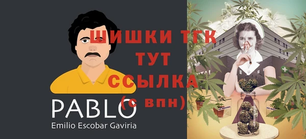 ECSTASY Балахна