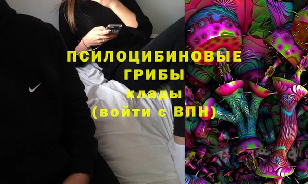 ECSTASY Балахна