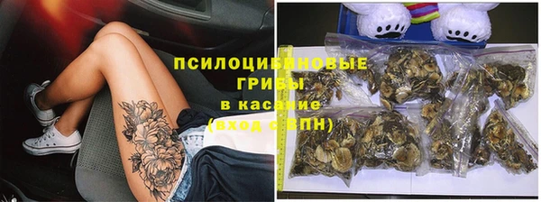кокс Баксан