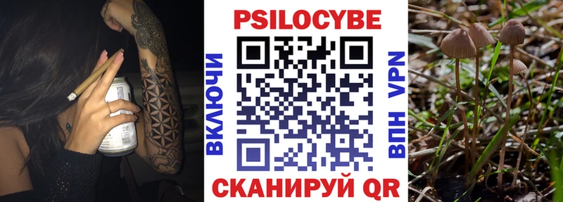 Псилоцибиновые грибы GOLDEN TEACHER  купить наркотики цена  Могоча 