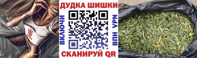 где продают наркотики  Могоча  Бошки марихуана Amnesia 